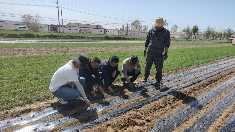 土壤肥料与节水农业研究所国家重点研发项目春播工作全面开展