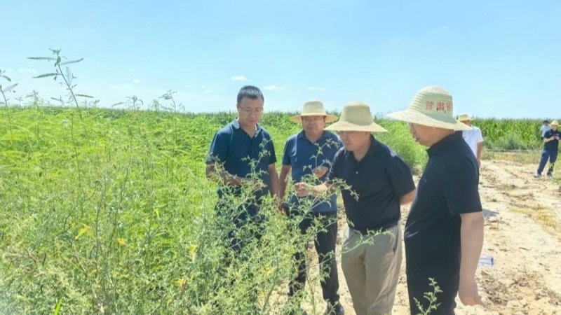 国家盐碱地综合利用技术创新中心副主任李玉义研究员一行赴白银试验站调研