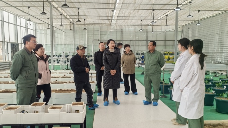 副院长田青赴武威调研产学研合作与科技小院建设工作