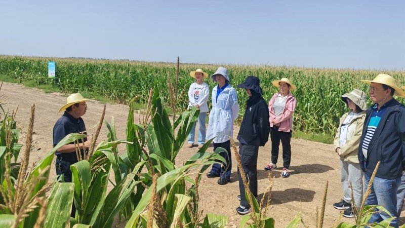 省科技厅农村处赴河西检查土肥所盐碱地重大专项中期执行情况