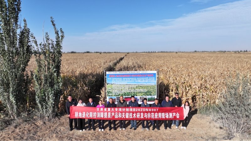从“盐碱低产”到稳产增效  省科技重大专项“有盐无害”新技术模式助力盐碱化耕地提质增产