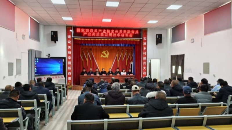 我院土壤肥料与节水农业研究所科研人员开展民勤蜜瓜产业技术培训