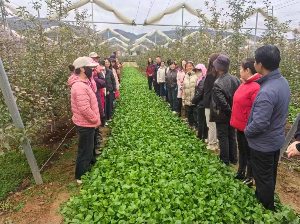 我院土肥所科技人员赴静宁县开展“三区”科技服务