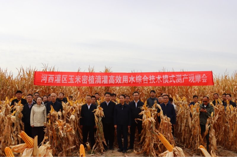 省农科院主办玉米节水高效技术观摩测产  创新模式助力河西灌区粮食产能提升